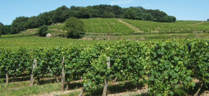 Le Domaine de l'été et le Château des Rochettes